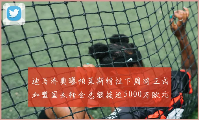 迪马济奥曝帕莱斯特拉下周将正式加盟国米转会总额接近5000万欧元