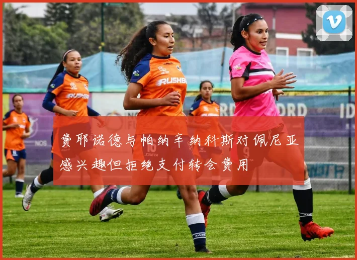 费耶诺德与帕纳辛纳科斯对佩尼亚感兴趣但拒绝支付转会费用