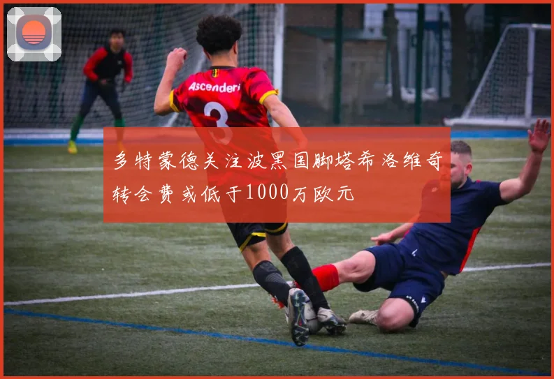 多特蒙德关注波黑国脚塔希洛维奇转会费或低于1000万欧元